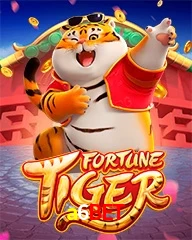 A6BET.COM